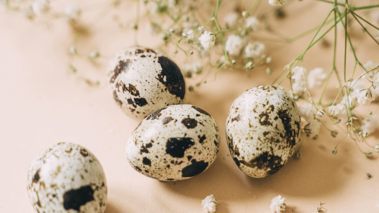 7 Unique Ways to Use Gypsophila: Wedding Décor, Bouquets & More