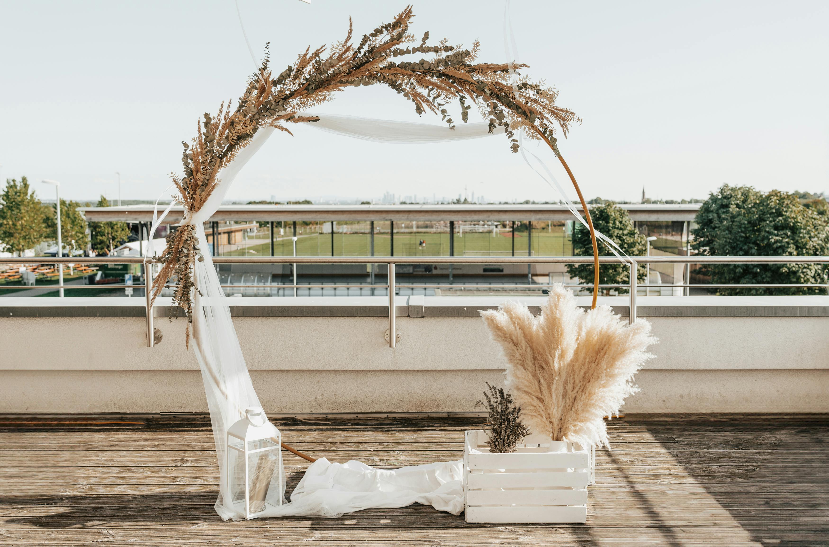 Buy Dried Flowers Online in UK Leading Dried Flowers Suppliers Page