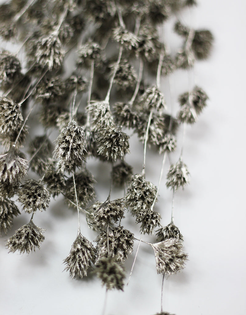 Dried Weeping Bamboo bunch