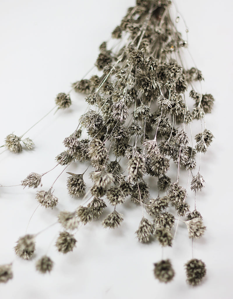 Dried Weeping Bamboo bunch