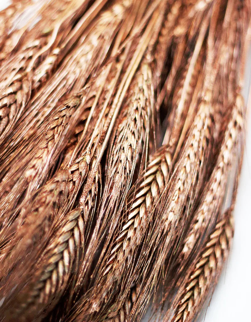 Copper Dried Triticale Flowers Bunch wholesale