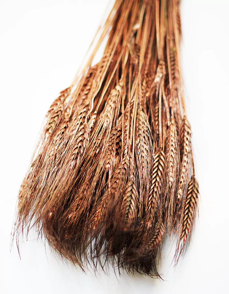 wholesale Copper Dried Triticale Flowers Bunch