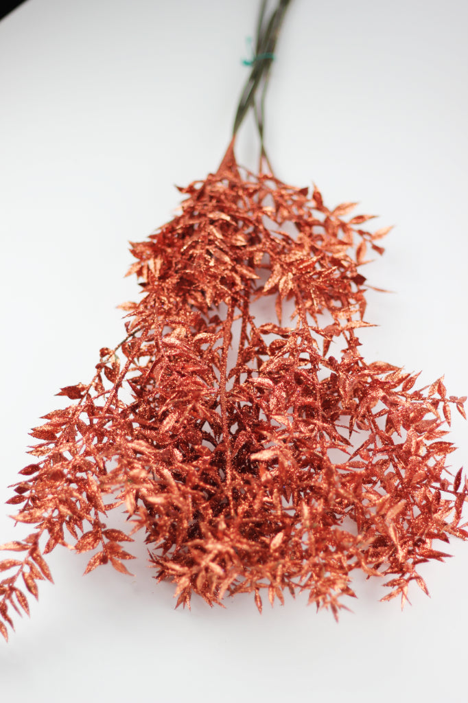 Dried Ruscus Bunch - Glitter Copper, 5 stems, 70 cm