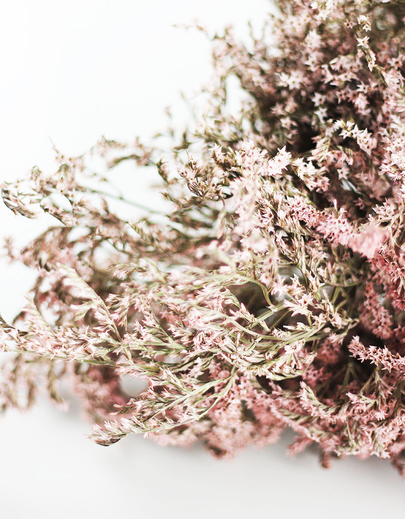 DRIED STATICE TATARICA DUMOSA