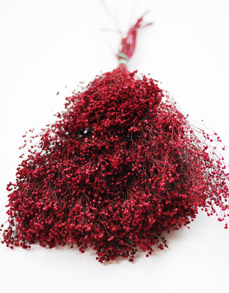 Dried Broom Bloom flowers