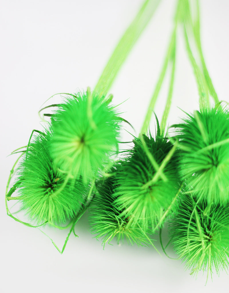 Green Dried Flowers
