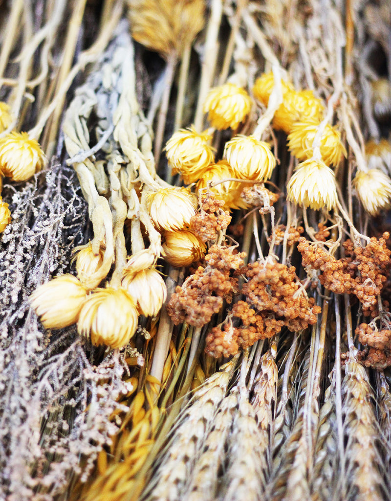 wholesale Dried Flowers mix