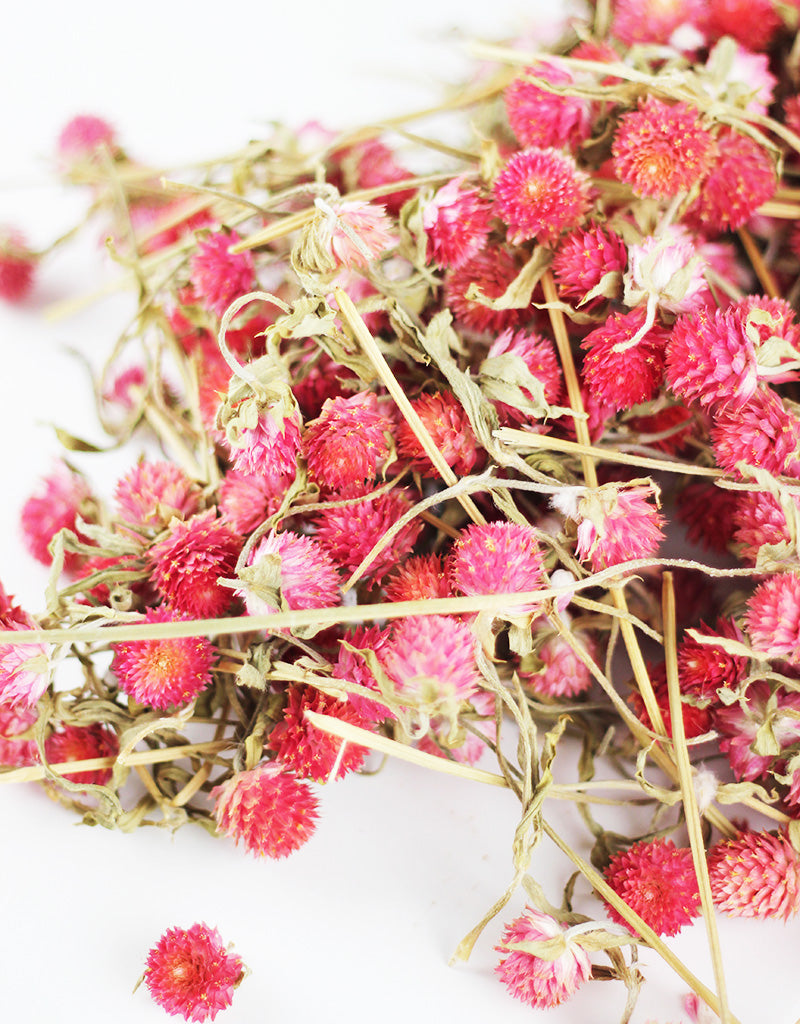Gomphrena Heads