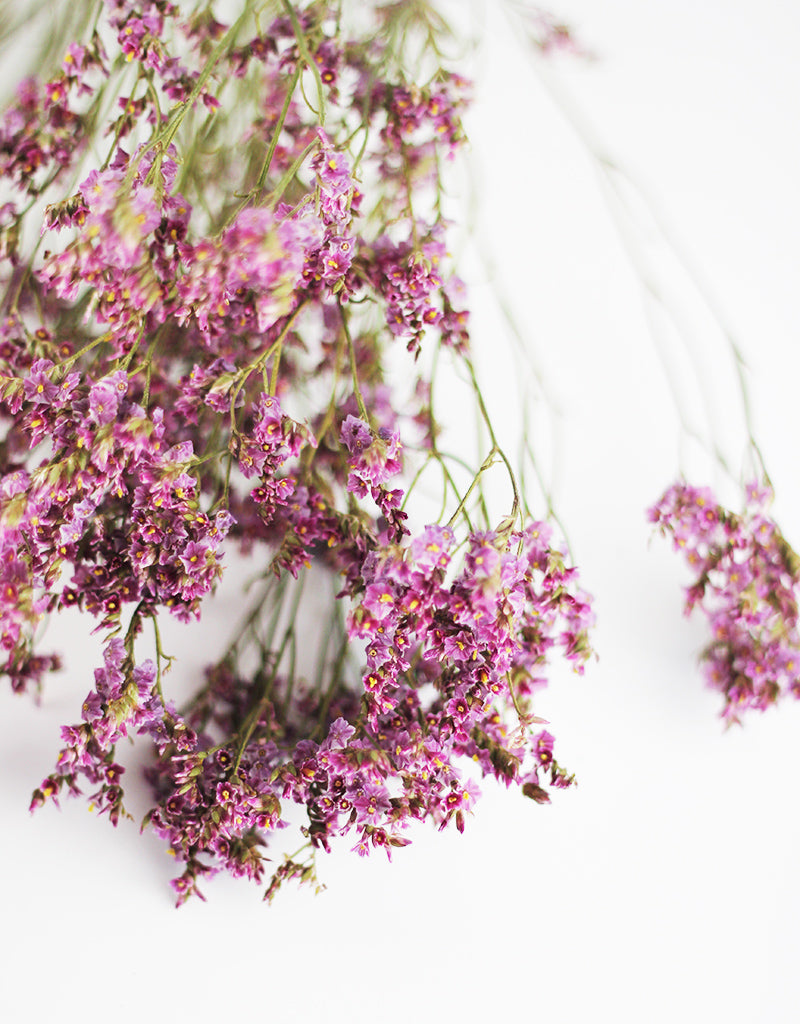 Purple Dried Limonium flowers