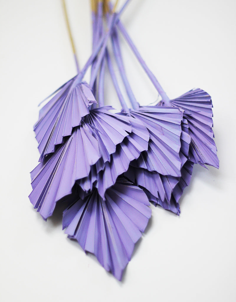 Palm leaves