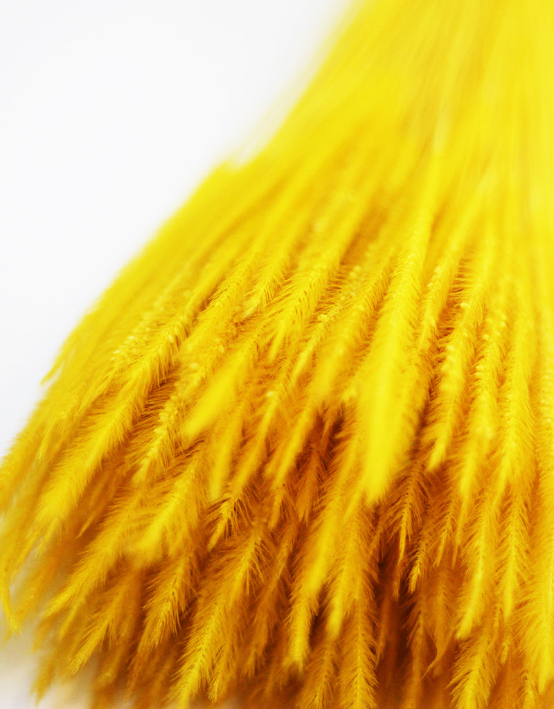 wholesale Dried Silk Worm stems