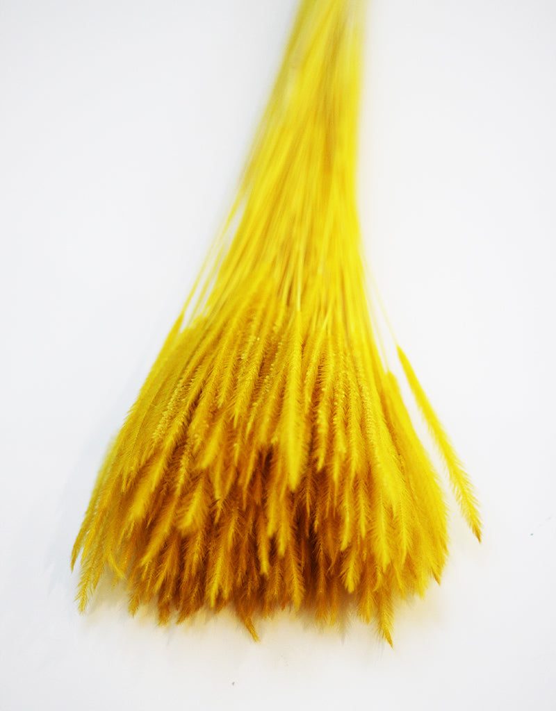 wholesale Dried Silk Worm bunch