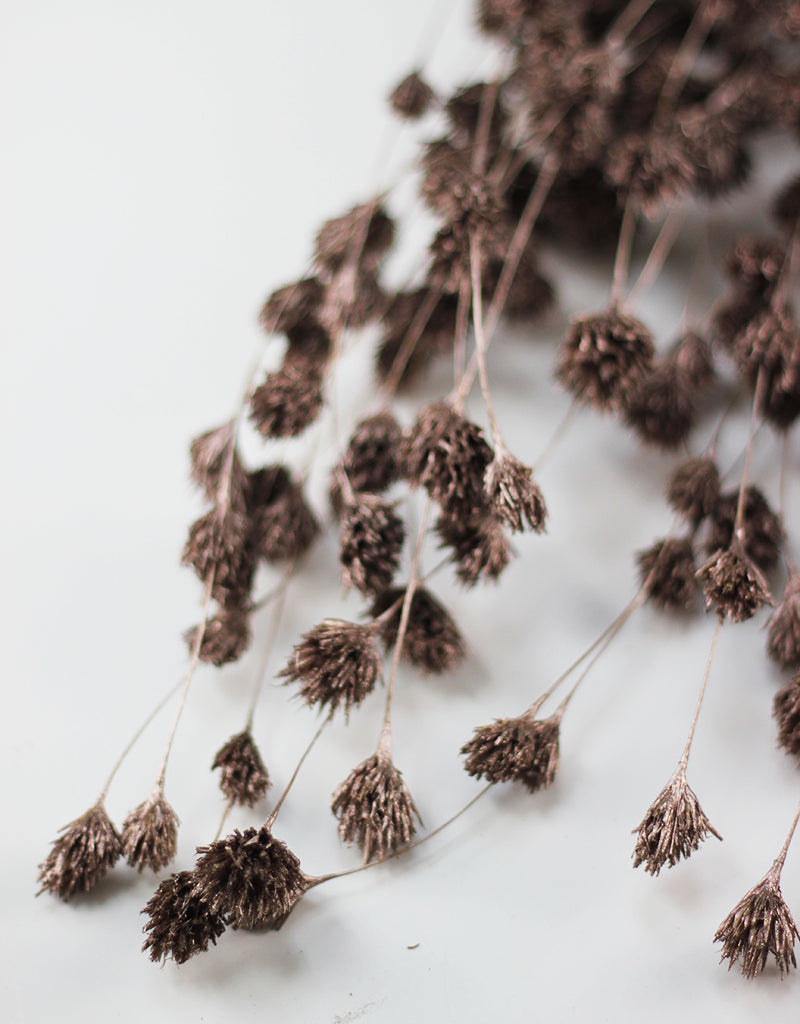 Champagne Bamboo bunch