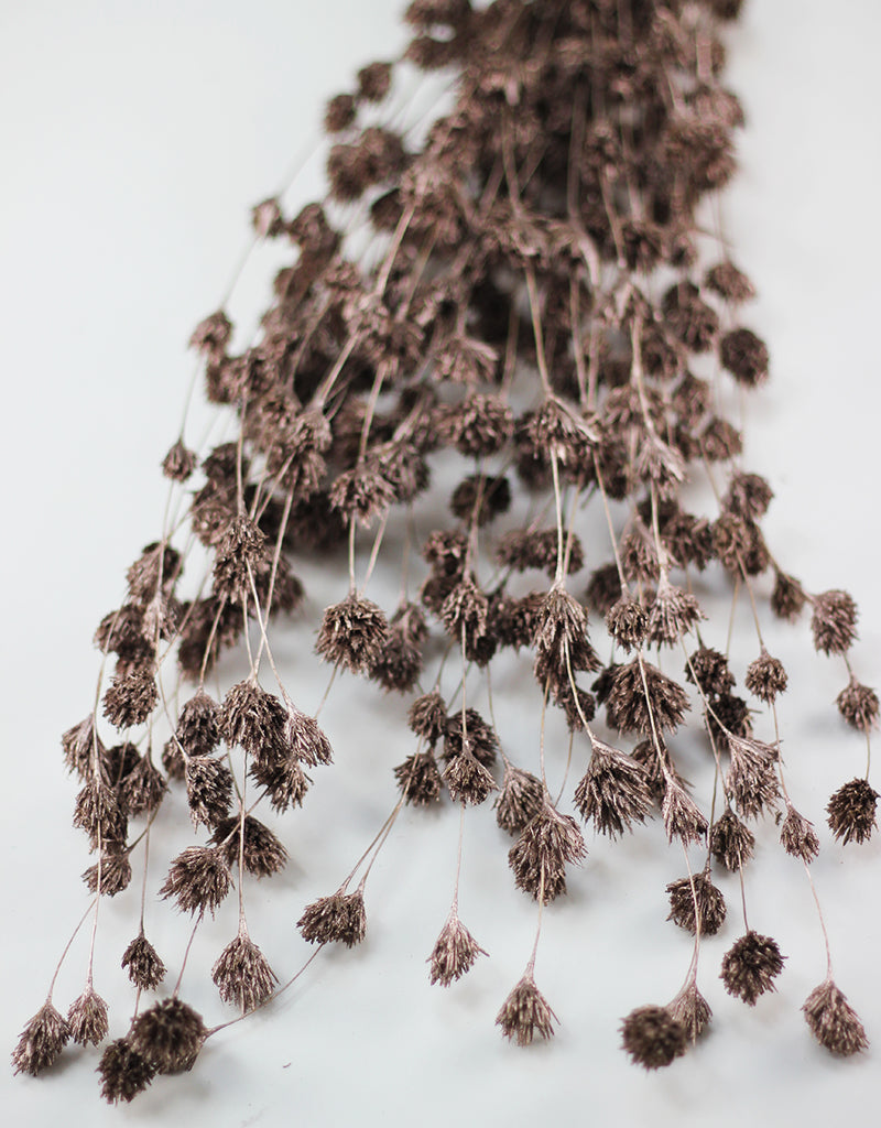 Champagne Bamboo bunch