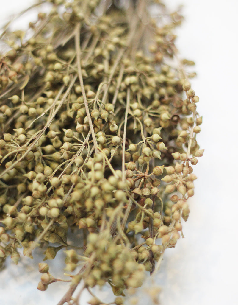 Dried Eucalyptus Branches bunch