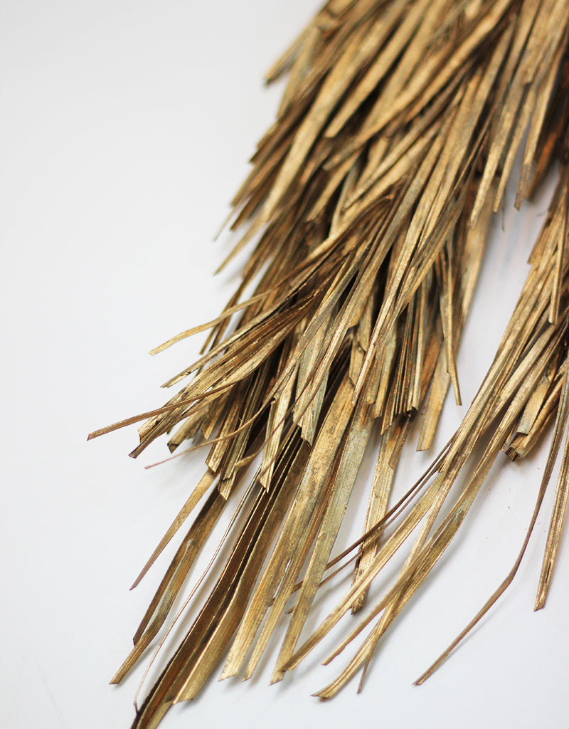 wholesale dried palms