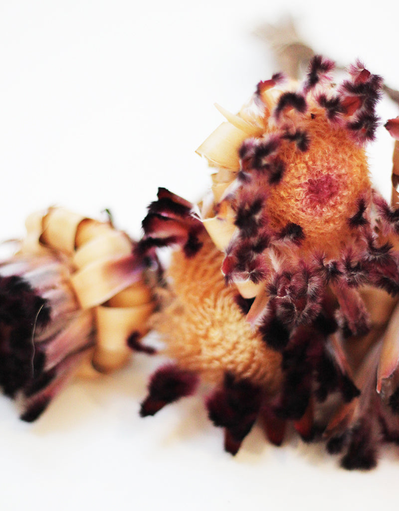 Dried flowers