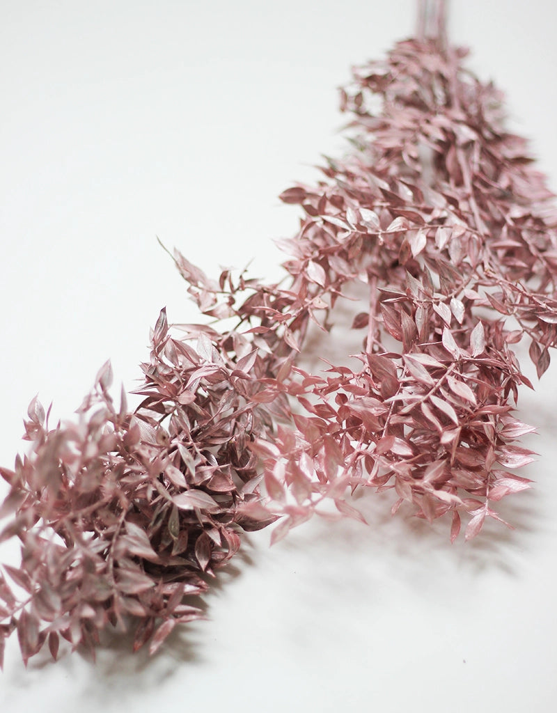 Pink Rucus