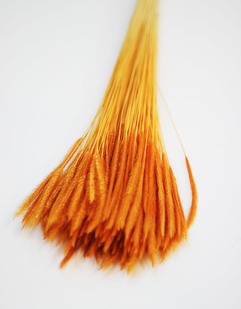 wholesale Dried Silk Worm bunch