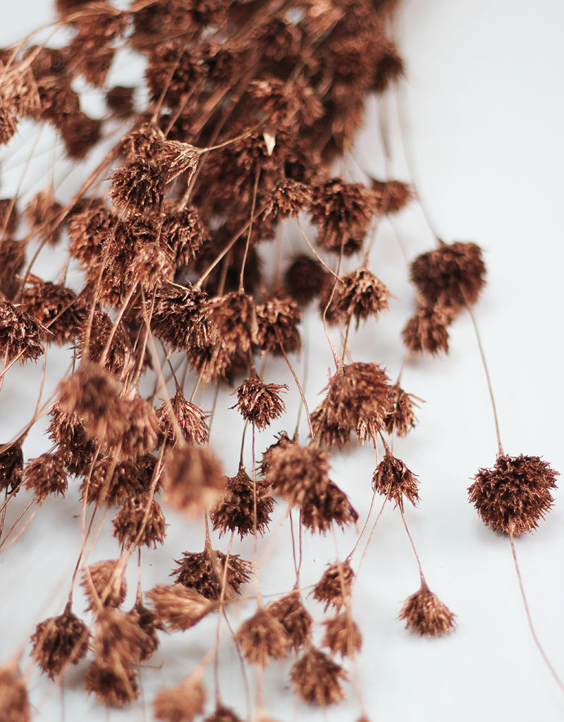 Dried Weeping Bamboo bunch