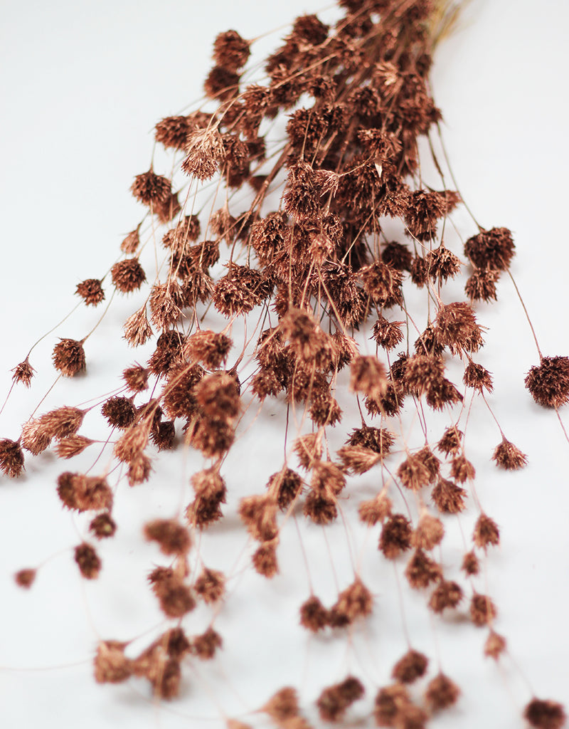 Dried Weeping Bamboo bunch