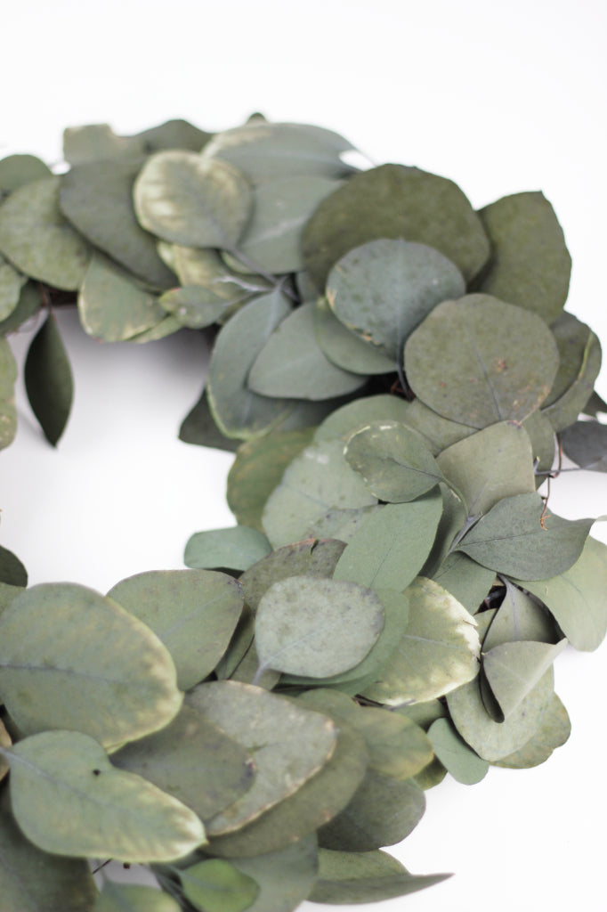 Eucalyptus Populus Wreath