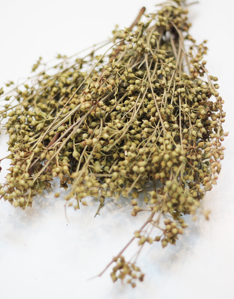 wholesale Dried Eucalyptus Branches bunch