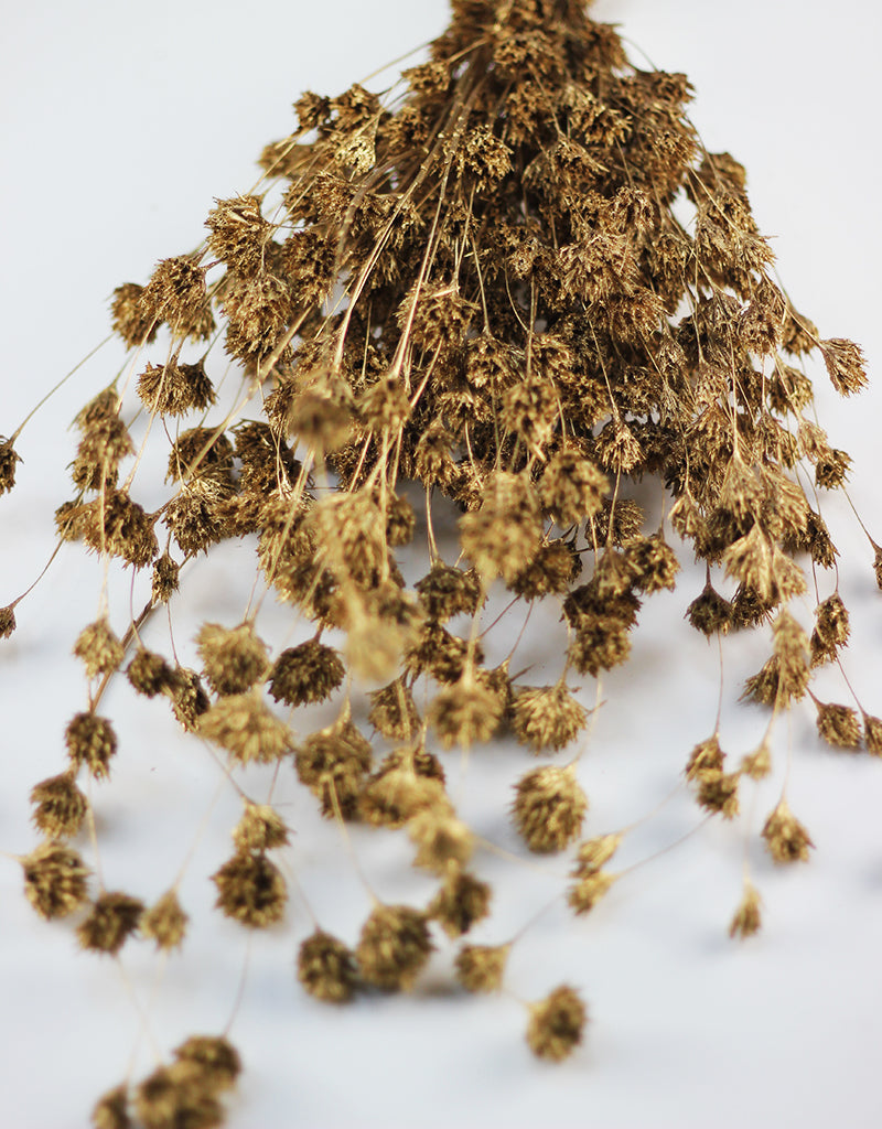 Dried Weeping Bamboo bunch