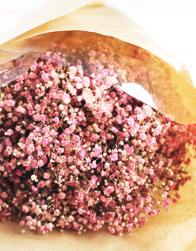 Preserved Gypsophila