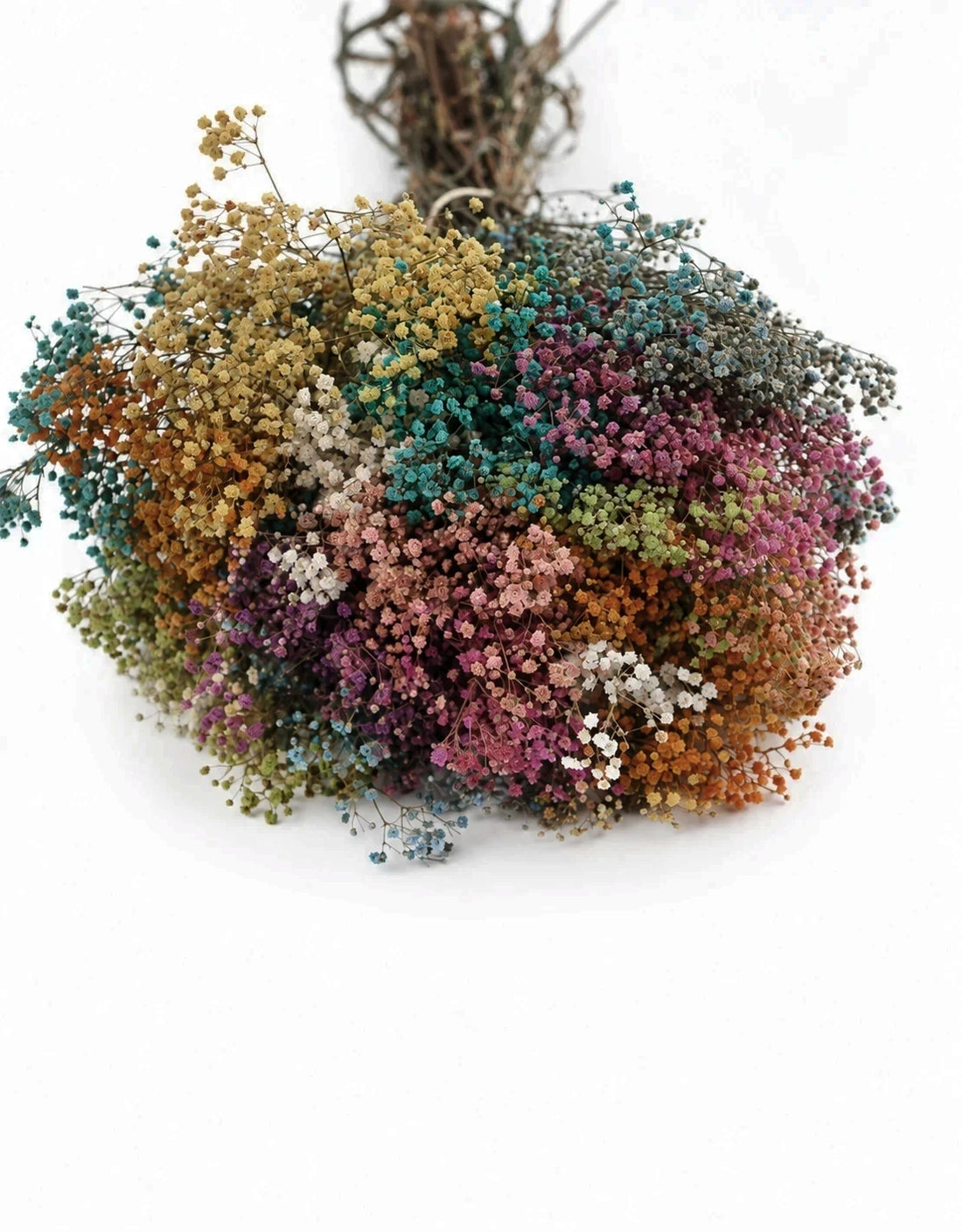 Preserved Gypsophila Flowers