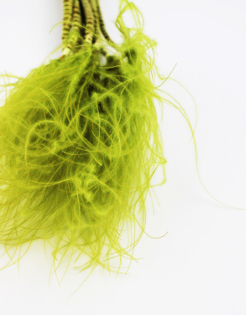 Dried Flowers wholesale