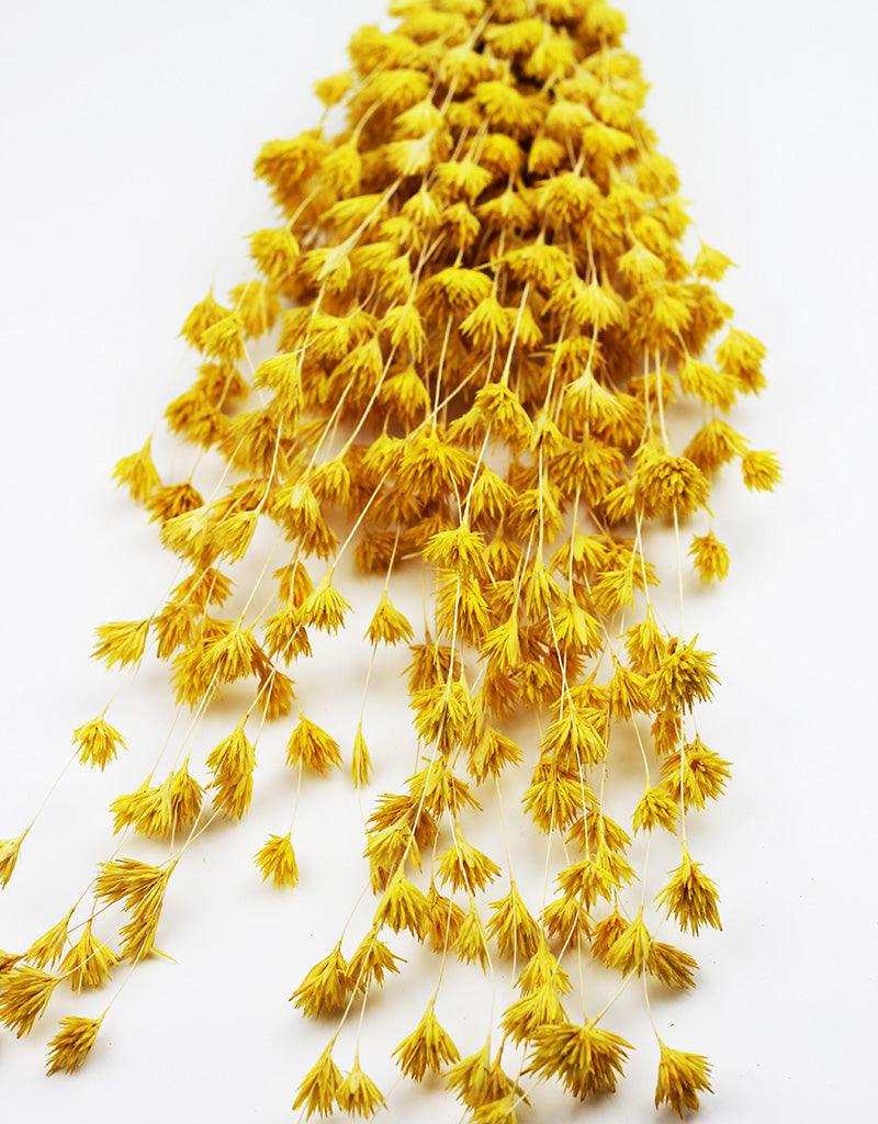 Dried Wheep Bamboo