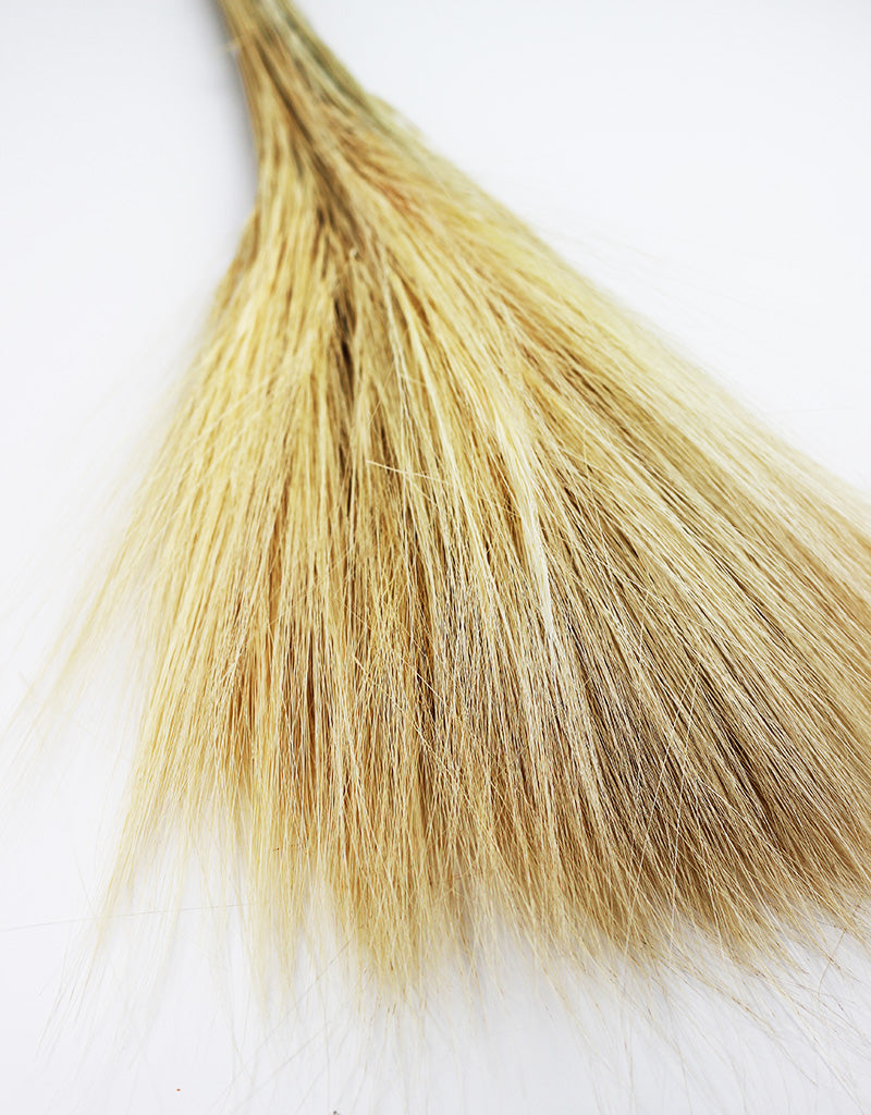 Wholesale Dried Barba De Bode