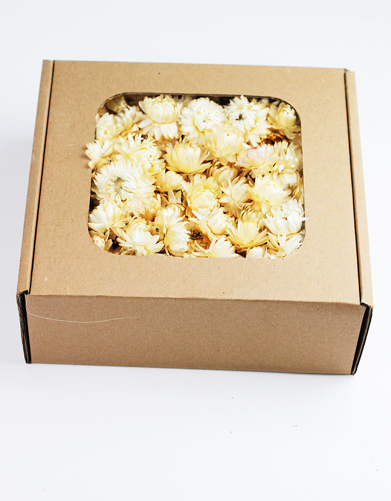 Dried Helichrysum Heads