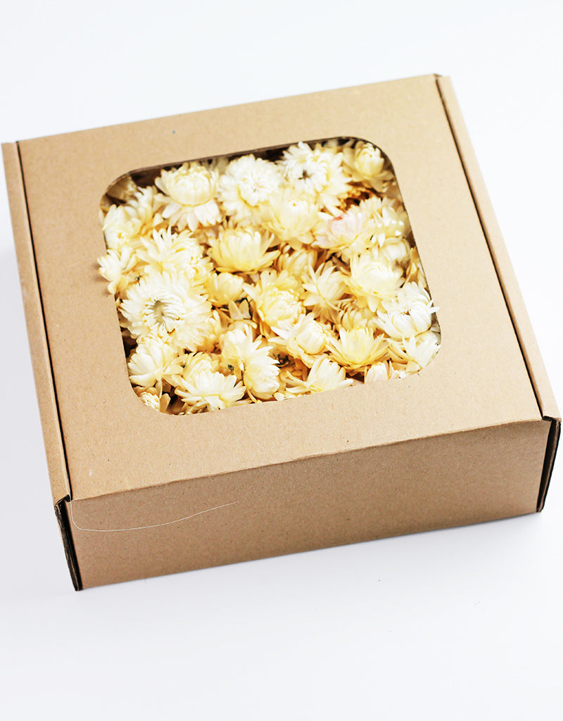 Dried Helichrysum Heads UK