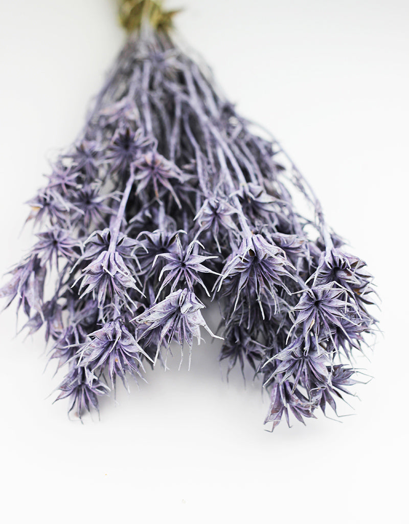 Lilac Dried Nigella Orientalis
