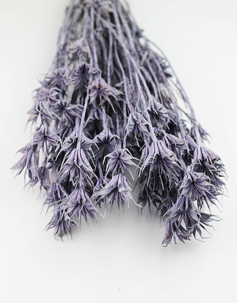 lilac dried flowers