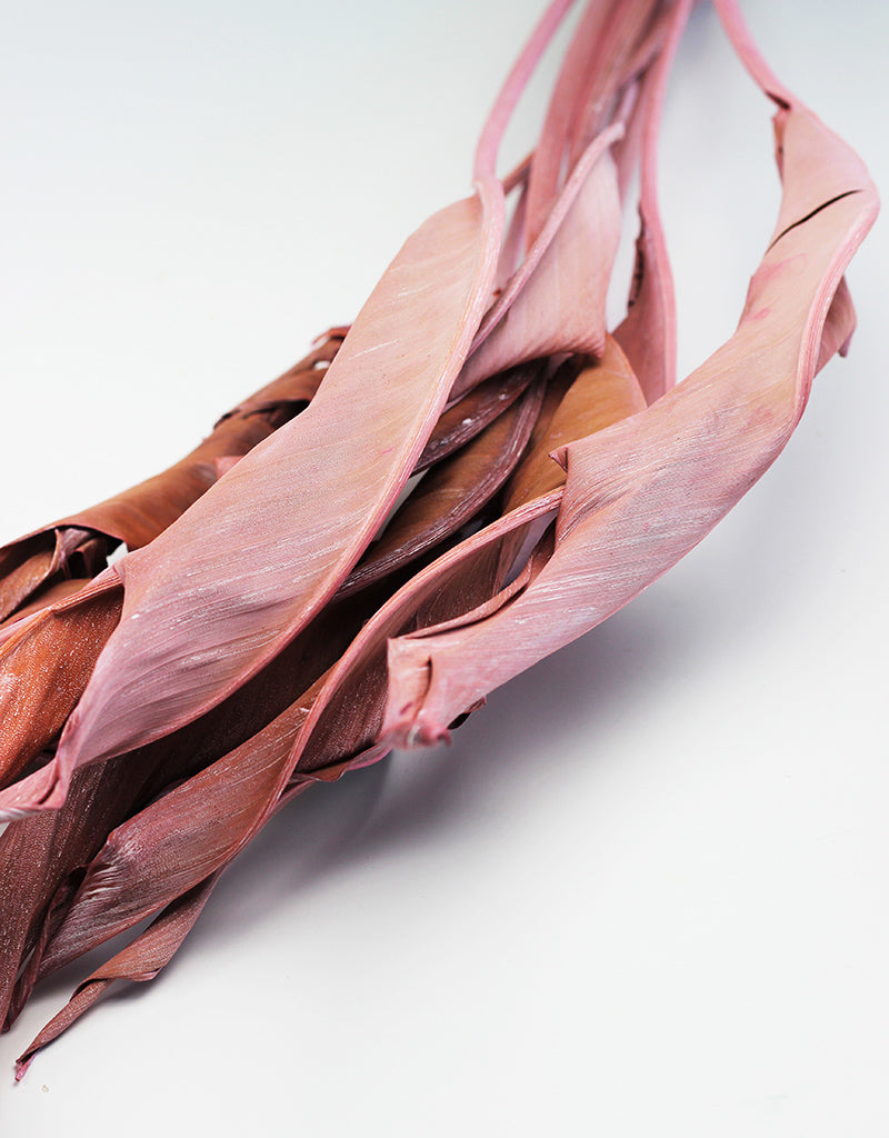 Wholesale Dried Strelitzia Leaves