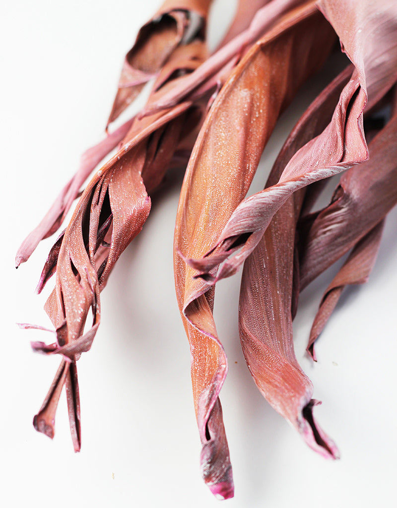 Wholesale Dried Strelitzia Leaves UK