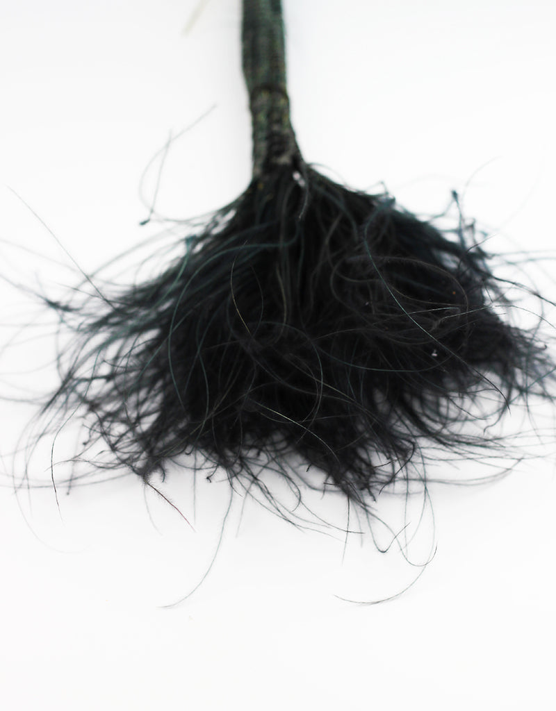 Dried Stypha Penata