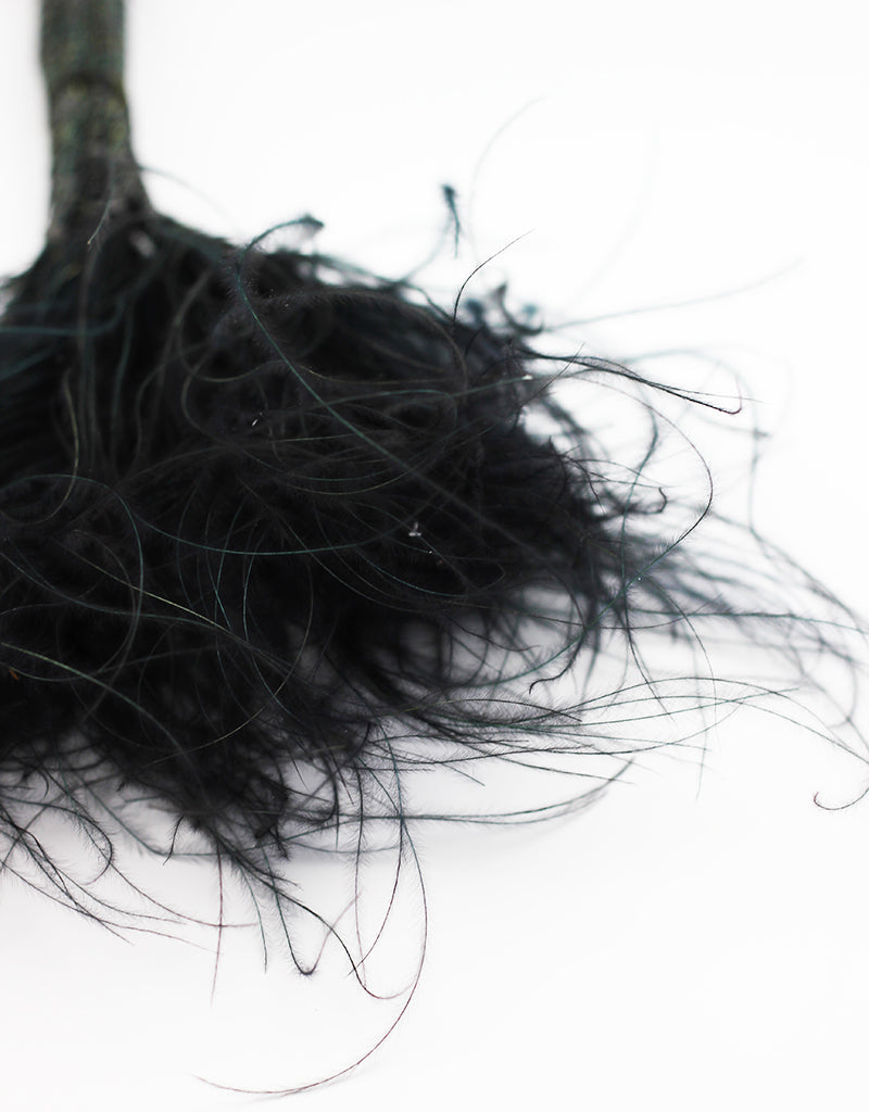 Wholesale Dried Stypha Penata