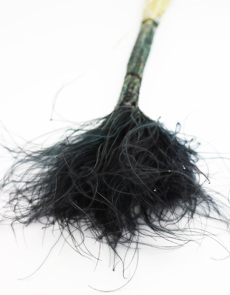 Dried Black Stypha Penata