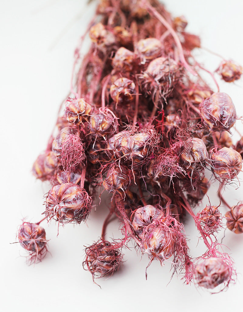 Pink Dried Flowers
