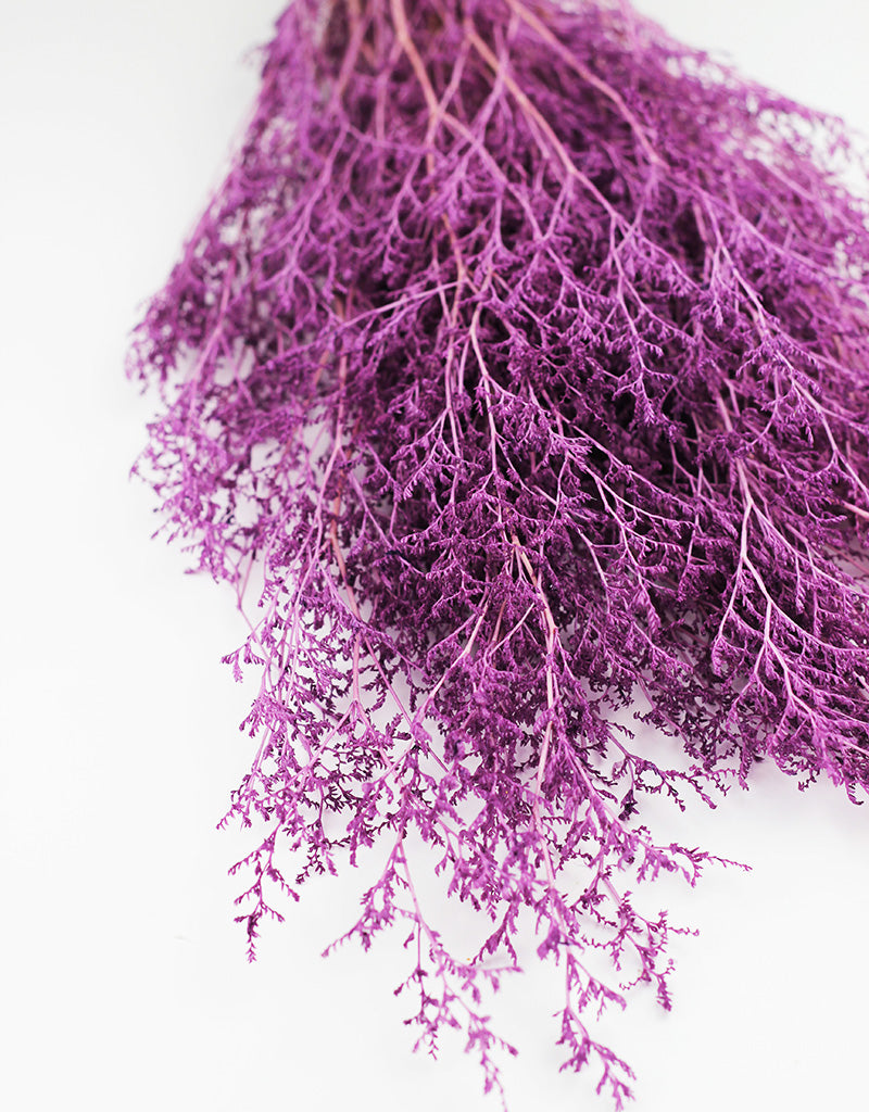 Lilac Preserved Caspia