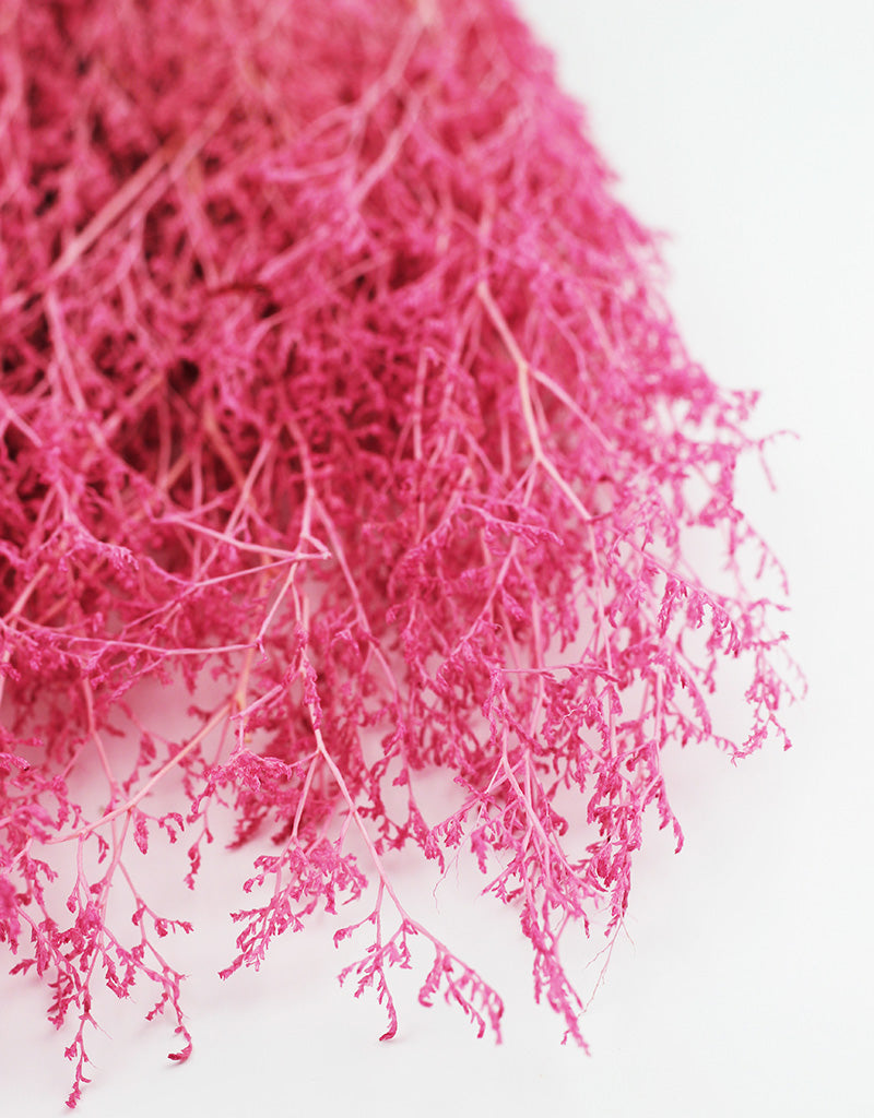 Pink Dried Flowers