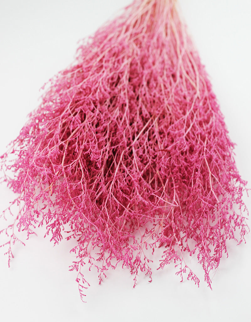 Wholesale Pink Dried Flowers