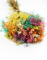 rainbow gypsophila bouquet