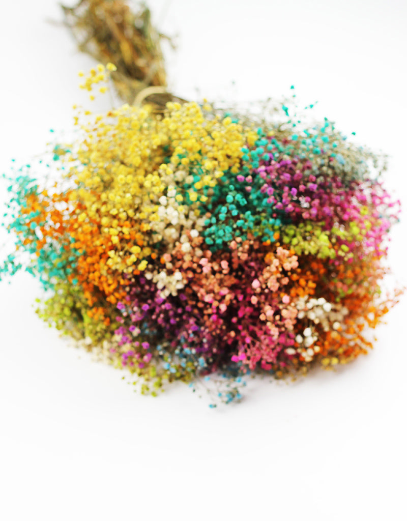 rainbow gypsophila bouquet