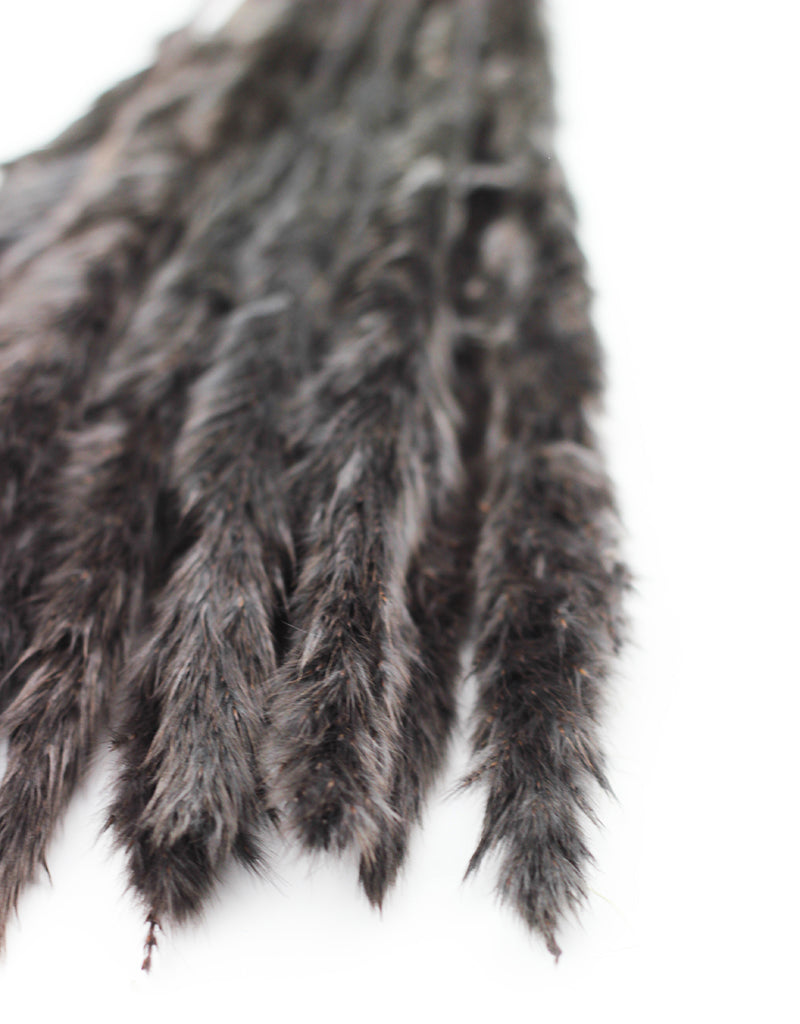 Grey Fluffy Dried Pampas Grass