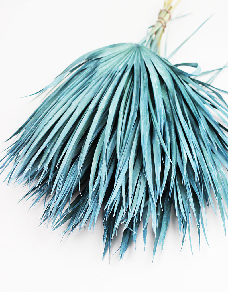 large dried palm leaves